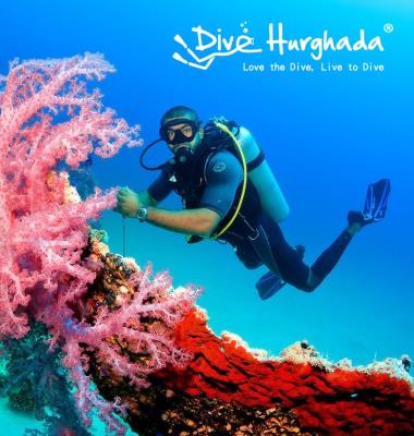Dive Hurghada