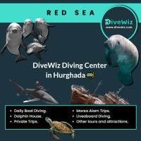 DiveWiz Diving Center