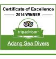 Adang Sea Divers