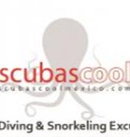 Scubascoolmexico Cenotes and Ocean Diving