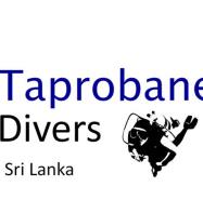 Taprobane Divers