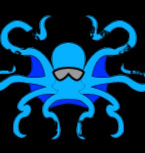 Blue Octopus Scuba