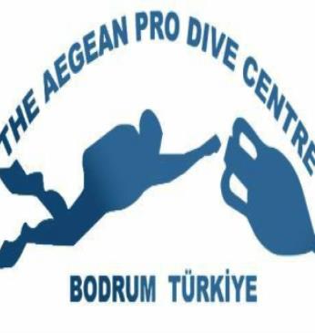 Aegean Pro Dive Centre