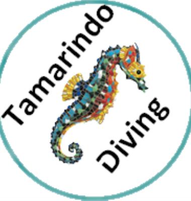 Tamarindo Diving
