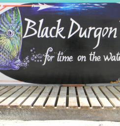 Black Durgon Dives