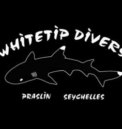 Whitetip Divers
