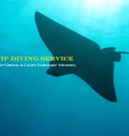 VIP diving service