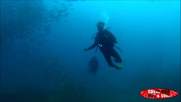Marino Ballena Scuba Diving
