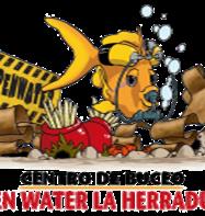 Open Water La Herradura