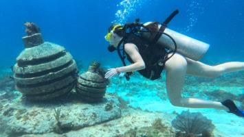 Musa diving Cancun