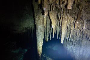 Cenotes cavern diving cancun