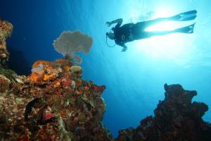 Cancun diving is amazing