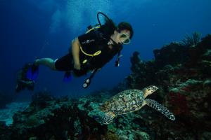 Discover scuba for cancun divers