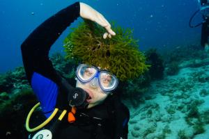 scuba in cancun