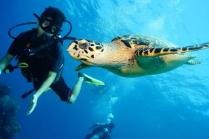 begginers diver Cancun