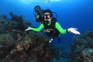 scuba diving is fun in cancun