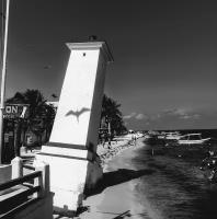 diving in puerto morelos