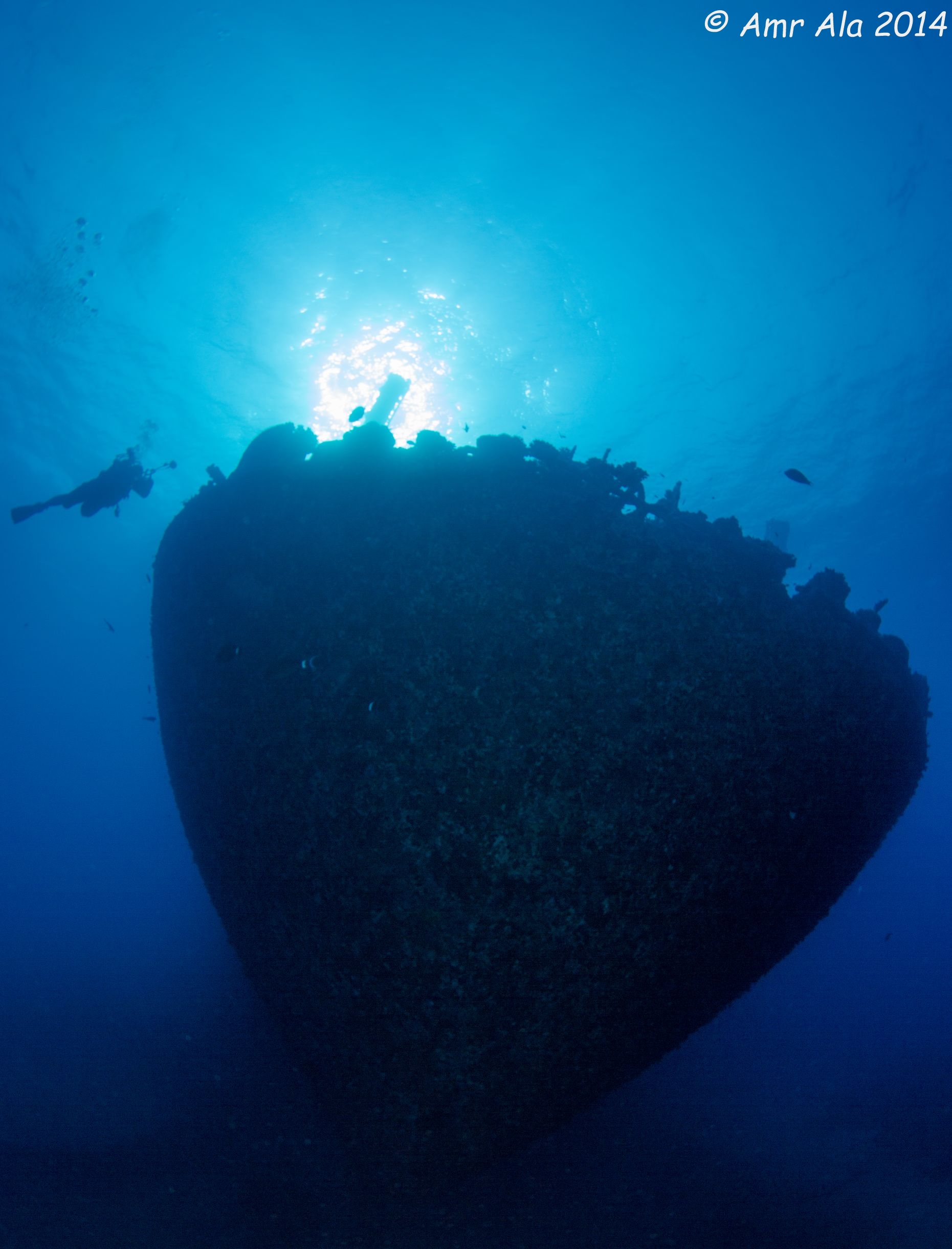 a cargo Wreck, max depth 95 ft 