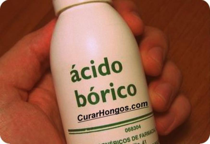 Acido borico