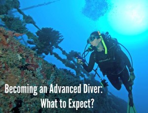 Advanced diving in the Florida keys