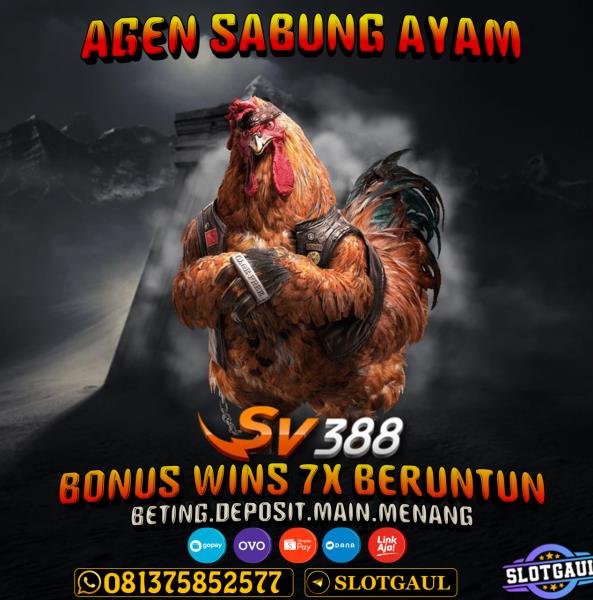 agen sabung ayam | slotgaul