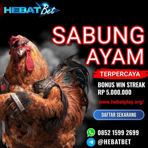 AGEN SABUNG AYAM BONUS TERBESAR | HEBATBET