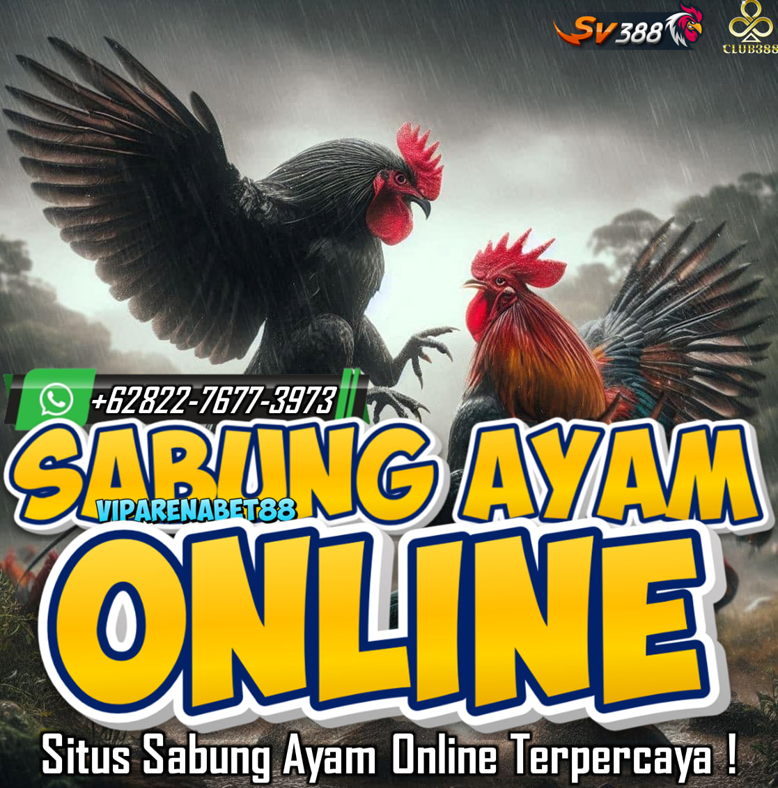 Kami adalah agen paling pas bagi para bettor pecinta taruhan Sabung Ayam online, menjadi website daftar Club388 website ini sahih-sahih menghargai tinggi sportifitas & senantiasa adil terhadap player kami, seluruh permainan adu ayam online yg berjalan merupakan live streaming bukan video reka ulang. Bagi anda yang suka bermain sabung ayam online ayo segera daftarkan akun anda bersama kami agen sabung ayam online yang resmi.

Melayani dalam 24 Jam Setiap Hari
👉 Kontak WhatsApp : +62 822-7677-3973
👉 Website : https://fondby.com/7CDmK
Menang Berapa Pun Di Bayar Lunass !!
#arenabet88 #webviparenabet88 #viparenabet88 #agensabungayamonline #daftarsabungayamonline #agenclub388 #daftarclub388 #situssabungayamonline #winstreaksabungayam #arenasabungayam #club388 #sabungayambali #pecintasabungayam #sabungayamtoraja 
