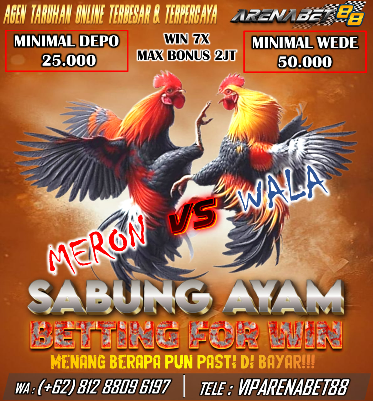 ARENABET88 merupakan agen sabung ayam resmi,aman dan terpercaya,untuk pecinta sabung ayam wajib tau kalau sekarang anda tidak perlu lagi jauh jauh keluar dari rumah hanya untuk bertaruh sabung ayam,sekarang anda hanya cukup mendaftarkan diri anda di ARENABET88 dan pasang taruhan anda melalui hp yang di siarkan secara live,dengan minimal depo 25rb anda sudah bisa bertaruh untuk ayam jagoan anda

ARENABET88 juga menyedian bonus WIN 7X dengan maximal bonus 2.000.000 
BONUS WIN 7X
Syarat WIN 7X beruntun sabung ayam : Khusus 1 Arena saja, minimal bet 25rb, Nomor fightnya harus berurut dan hanya bisa sekali 
dalam sehari maximal Bonus 2JT tidak bisa FTD, BDD, DRAW, Doble Bet, Cancel, reset setiap ganti hari Dll Harus menang murni. Terima kasih ❤️
jadi tunggu apa lagi?buruan daftar sekarang di ARENABET88.
untuk info yang lebih lengakap hubungi : 
WHATSAPP : 0812–8809–6197
TELEGRAM : VIPARENABET88