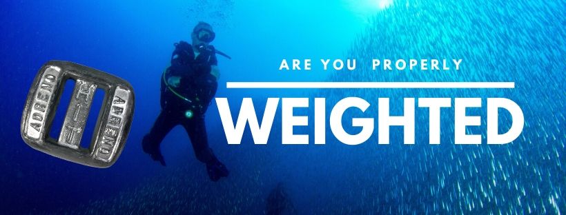 Are you properly weighted for your dive?