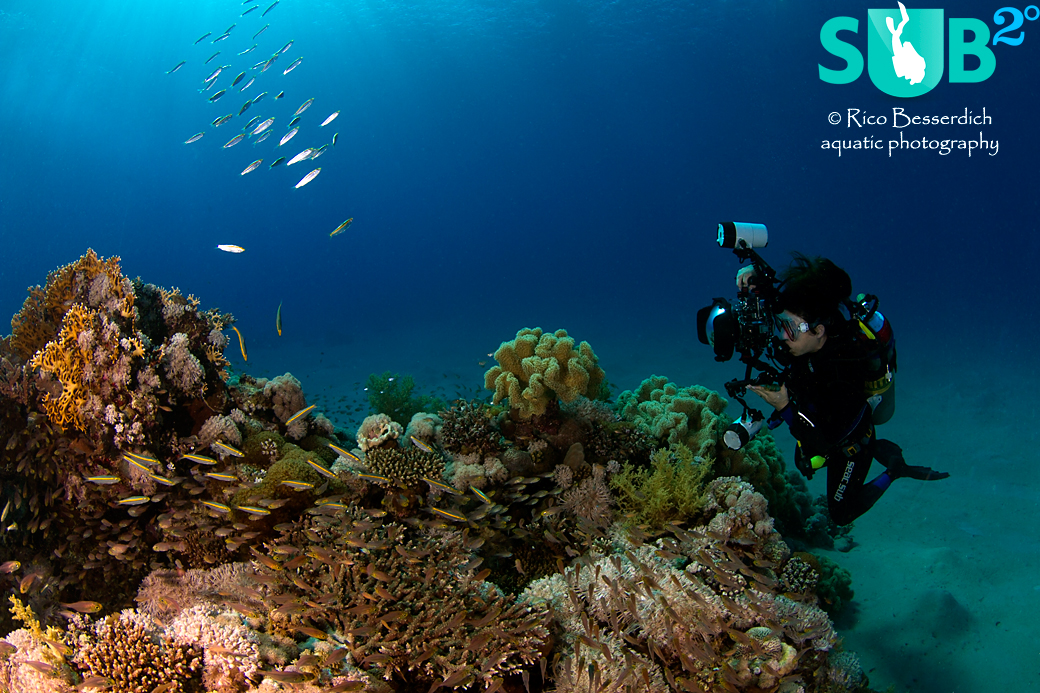 The best buddy to an underwater photographer is the one who shares the passion!