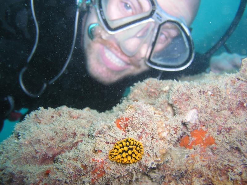 Brian and nudibranch - Dive 287