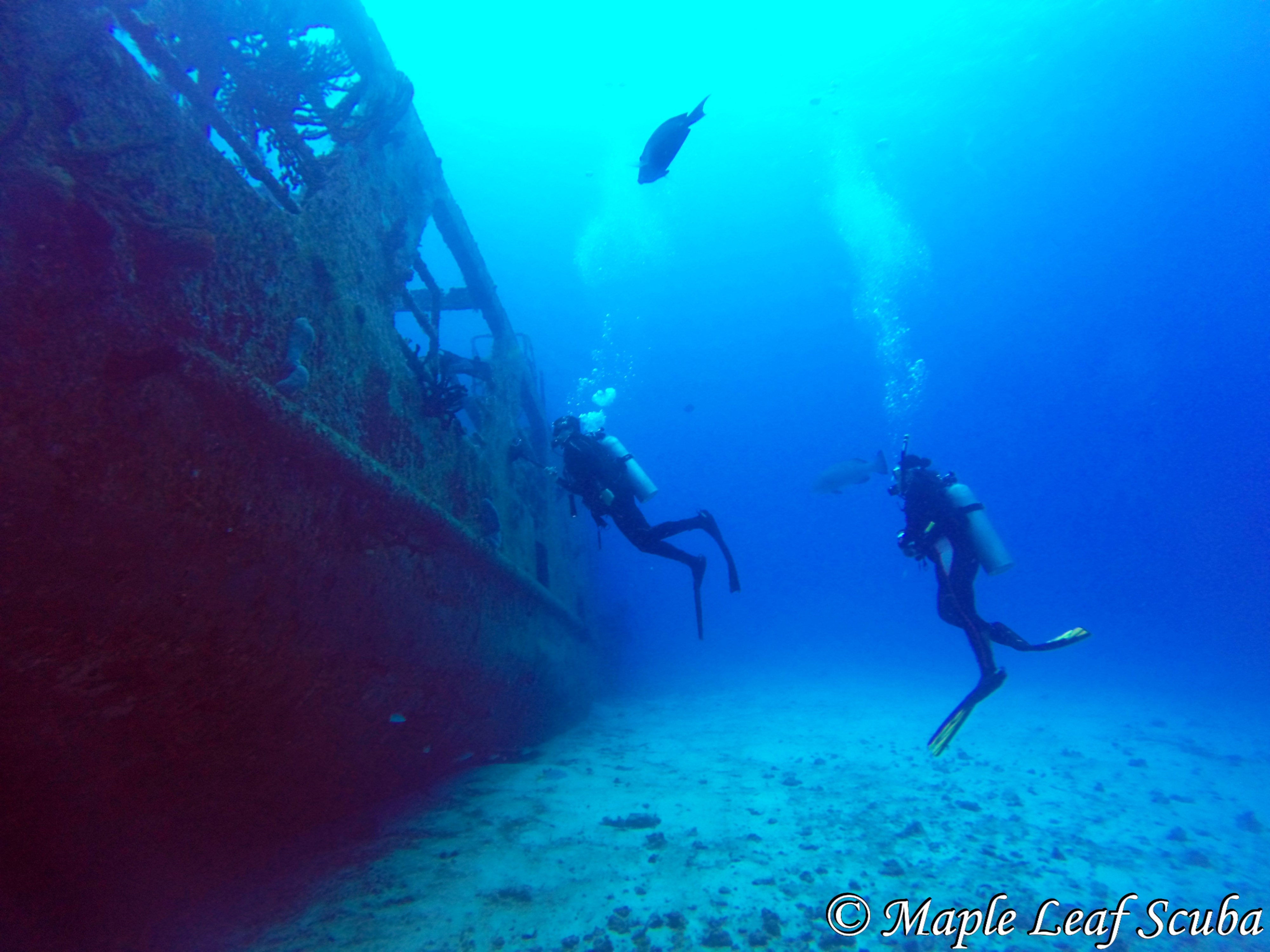 Diving the C53 Felipe Xicotencatl Ship Wreck in Cozumel 