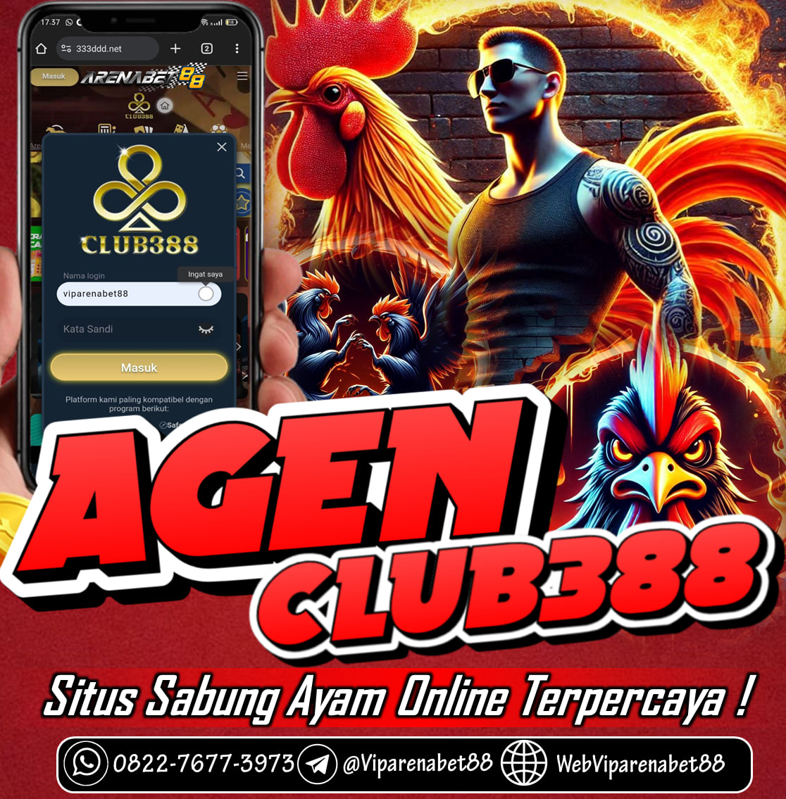 CLUB388 Adalah Situs Resmi Taruhan Judi Sabung Ayam Online & Pilihan No 1 Terbaik Tahun 2024 Terpercaya Mempersembahkan Arena Pertarungan Dengan Pengalaman Paling Seru.

Tersedia Keuntungan Bermain Sabung Ayam Online Termasuk Bonus 7x Win Streak Yang Bisa Di Claim Setiap Hari,
Telah Dikenal Sebagai Platform CLUB388 Mampu Membagikan Keseruan Bertaruh Dalam Arena Filipina, Serta Memiliki Wala Meron Odds Termurah.

✅Layanan Judi Sabung Ayam Terbaik
✅Kemudahan Akses Global Melalui Website
✅Dukungan Pelanggan Responsif 24/7
Melalui Website ARENABET88 anda bisa bermain SABUNG AYAM ONLINE CLUB388 online dengan transakasi yang begitu gampang dan sudah pasti aman dalam permainan, Segera daftarkan account anda sekarang juga.

Hubungi kontak resmi agen VIP arenabet88 dibawah:
Whatsapp : 0812-8809-6197
TELEGRAM : @viparenabet88
Kepuasan anda menjadi prioritas utama kami sepenuh nya.
#arenabet88 #viparenabet88 #agenclub388 #daftarclub388 #judisabungayamonline #bandarsabungayamonline #judisabungayamonlineclub388 #sabungayamclub388 #club388 #sabungayambali #sabungayamtoraja #bali #toraja #kalimantan