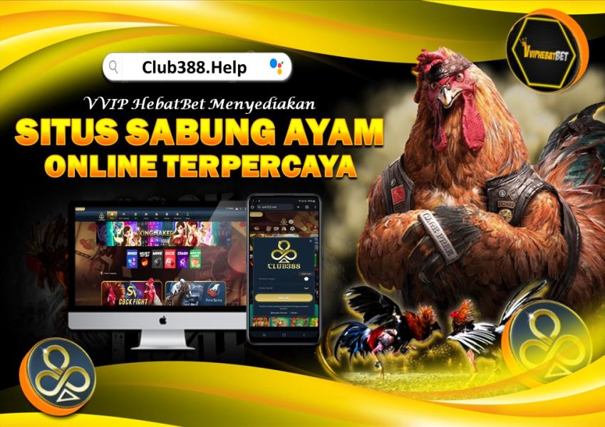 DAFTAR CLUB388 | Situs Sabung Ayam Online