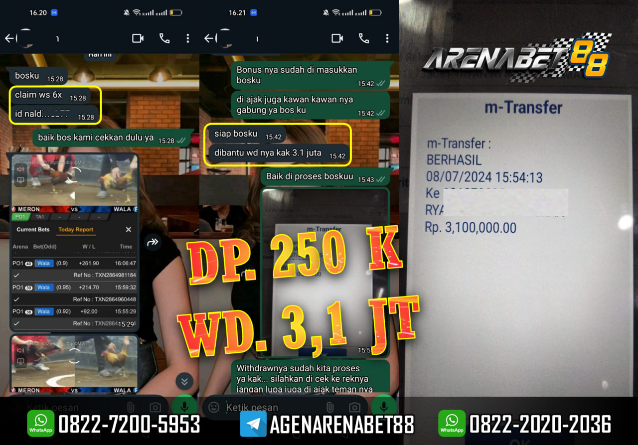 DAFTAR CLUB388 | WINSTREAK 6X SABUNG AYAM ONLINE