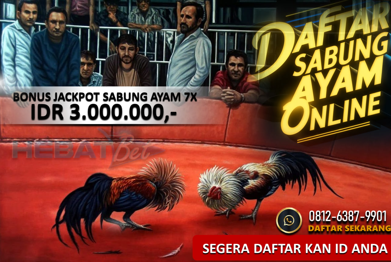 VVIPHEBATBET menyediakan berbagai permainan dan bettingan ONline Resmi dan terpercaya salah satunya Bettingan LIVE ARENA SABUNG AYAM SV388./CLUB388

DAFTAR dan Nikmati Bonus menarik di sini :

Bonus WIN STREAK    :  Rp,3,000.000

Bonus BEBAS ARENA  : Rp,1,000.000

Bonus mingguan : 5%

Bonus new member : 10%

MENANG BERAPAPUN PASTI DI BAYAR LUNAS.!!!

Untuk info lebih lanjut bisa hubungi atau chat wa kami,

WA : +62 812-6387-9901

LINK : https://agenhebatbet.online/