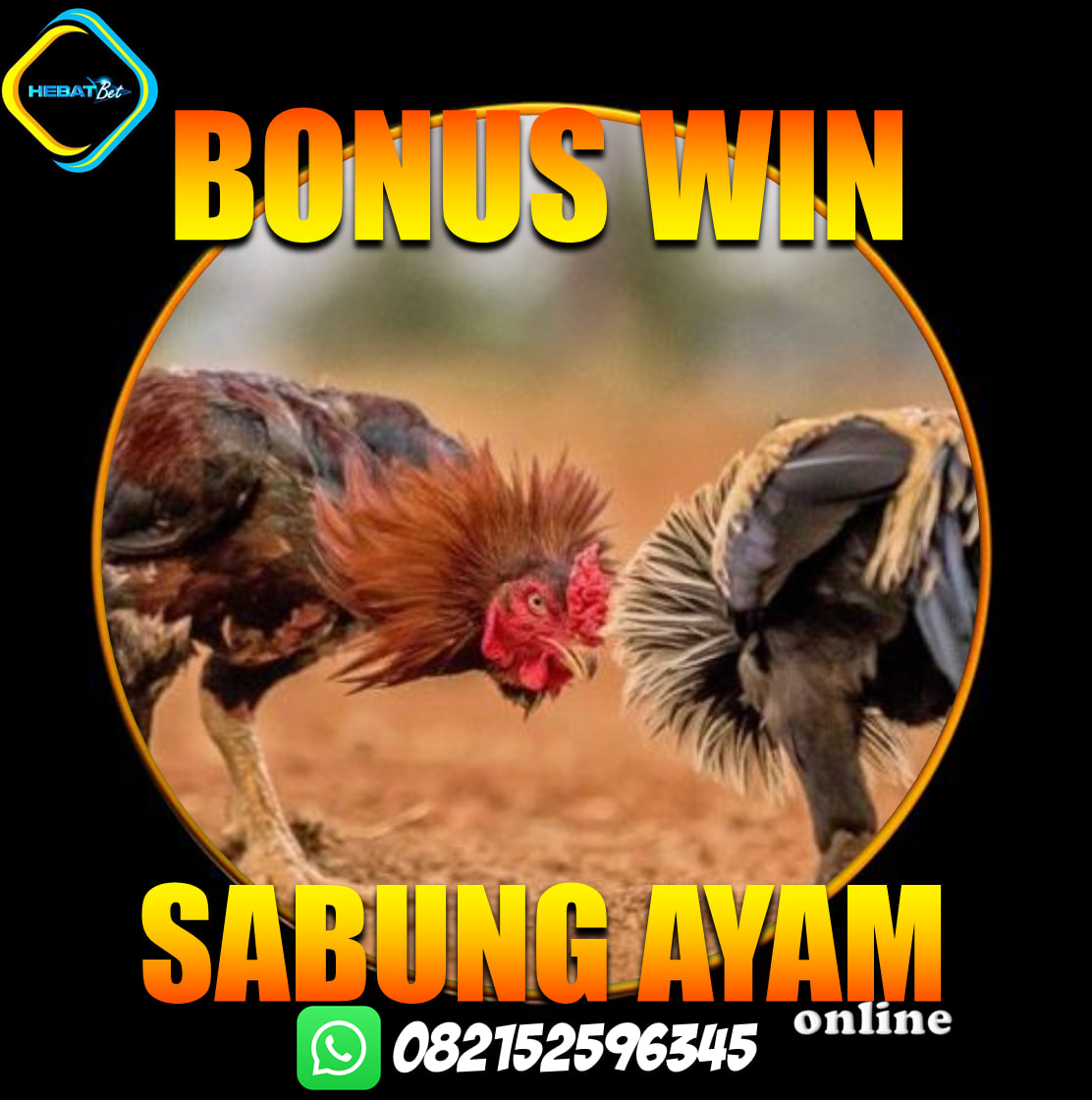 DAFTAR SABUNG AYAM CLUB388
#daftarclub388 #agenclub388 #club388 #situssabungayam #sabungayamonline #vviphebatbet #hebatbet #situsclub388 #agensabungayam #agenhebatbet