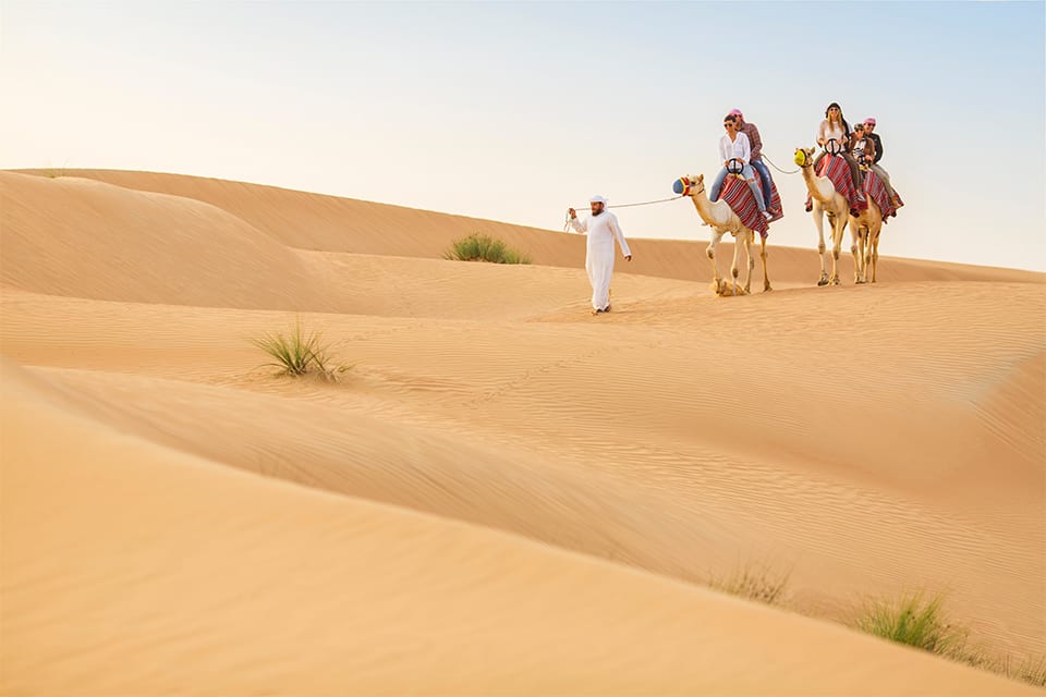 Desert safari Camel ride 