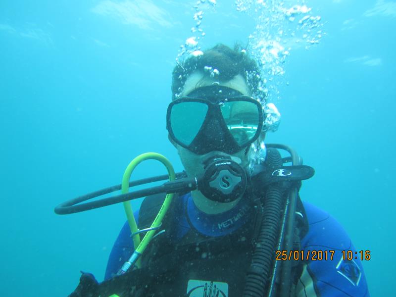 Diver 4