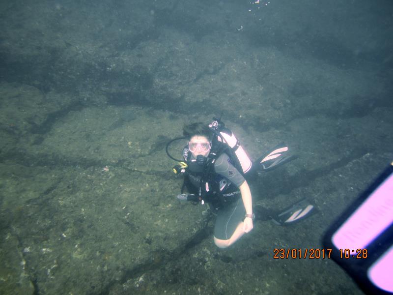 Diver 6