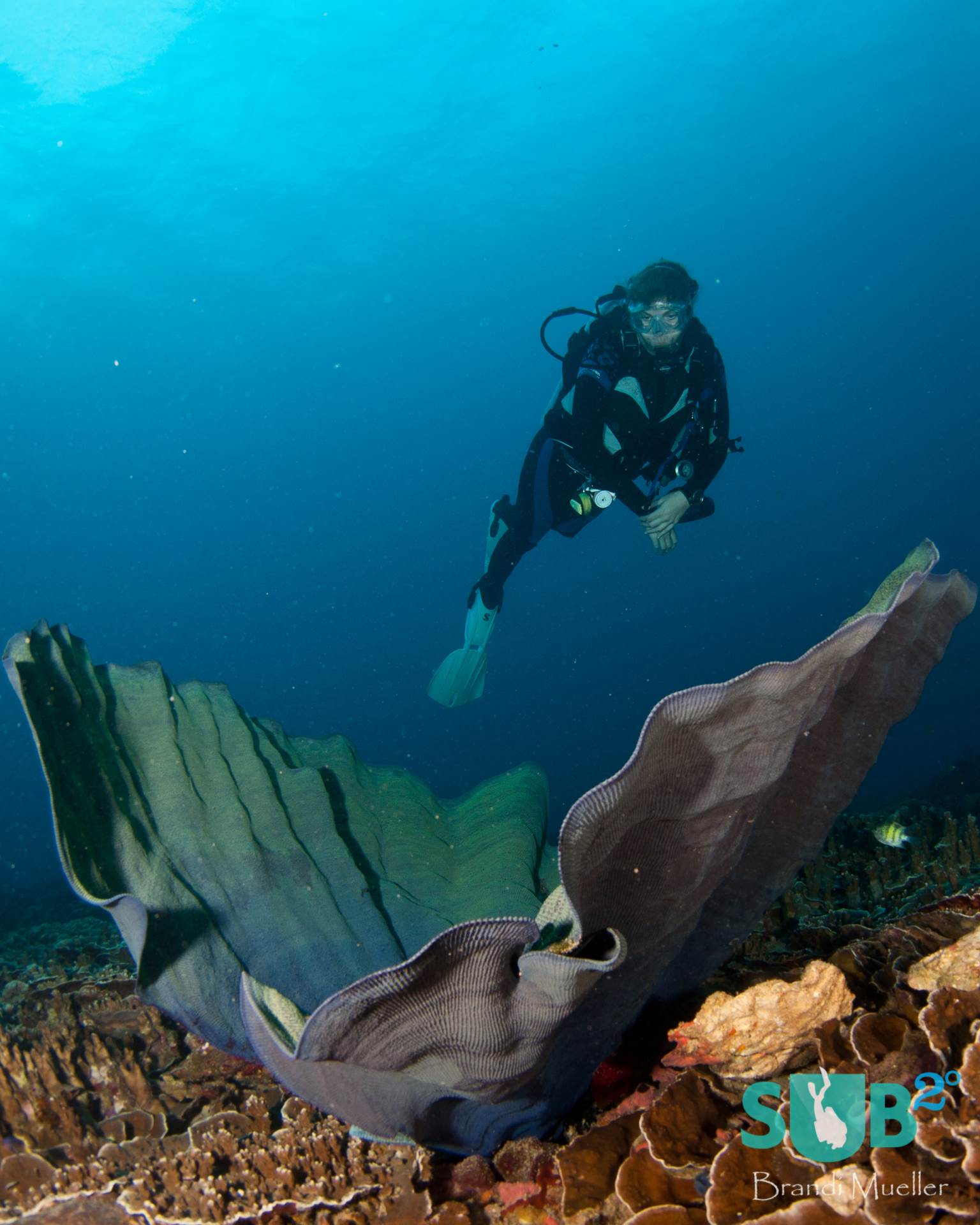 A diver observes the healthy reef of Guam.