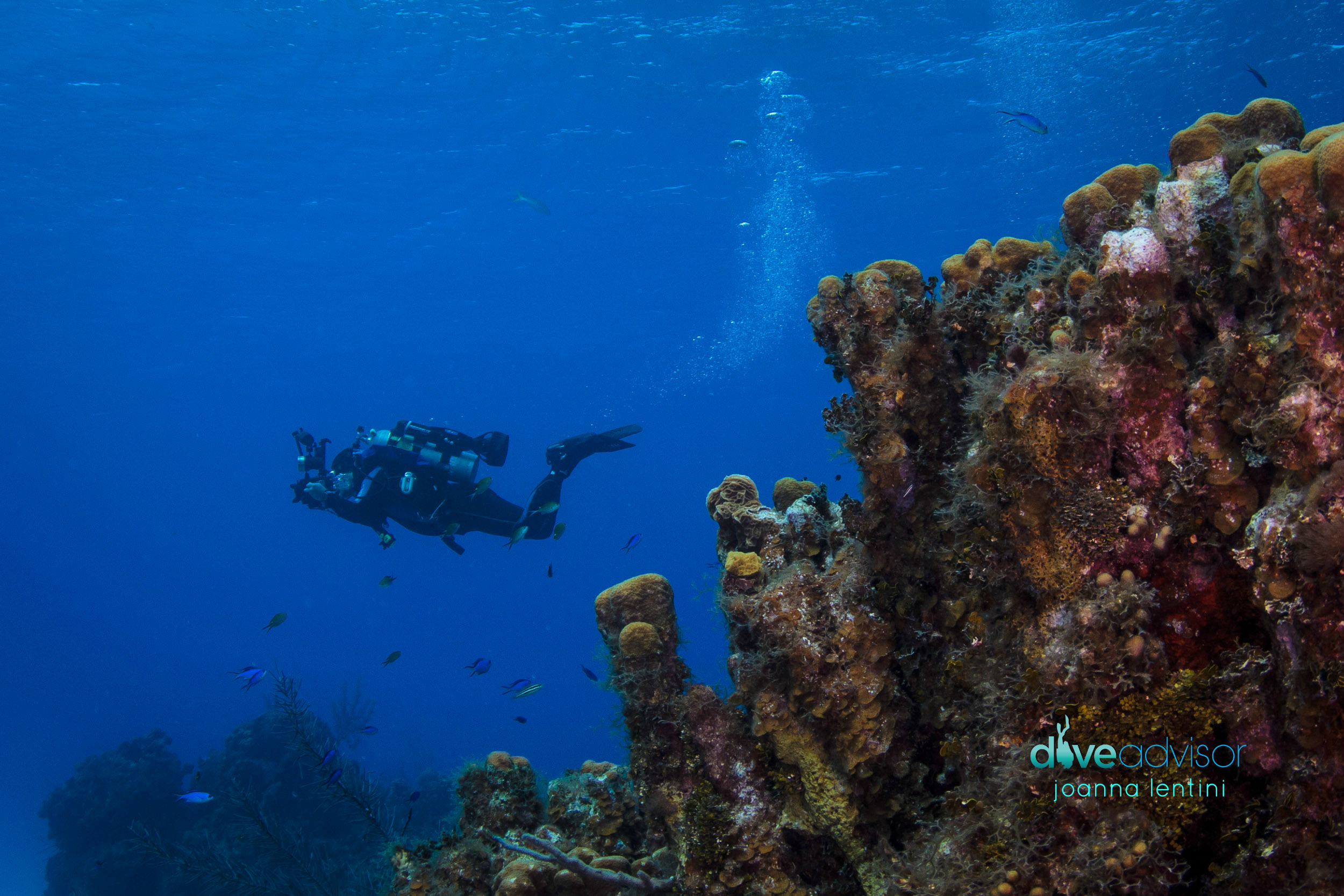 Zipping around the reef with a diver propulsion vehicle in Little Cayman, Cayman Islands