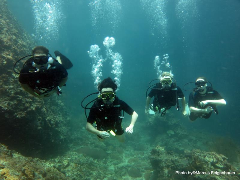 Diving around Phi Phi Island