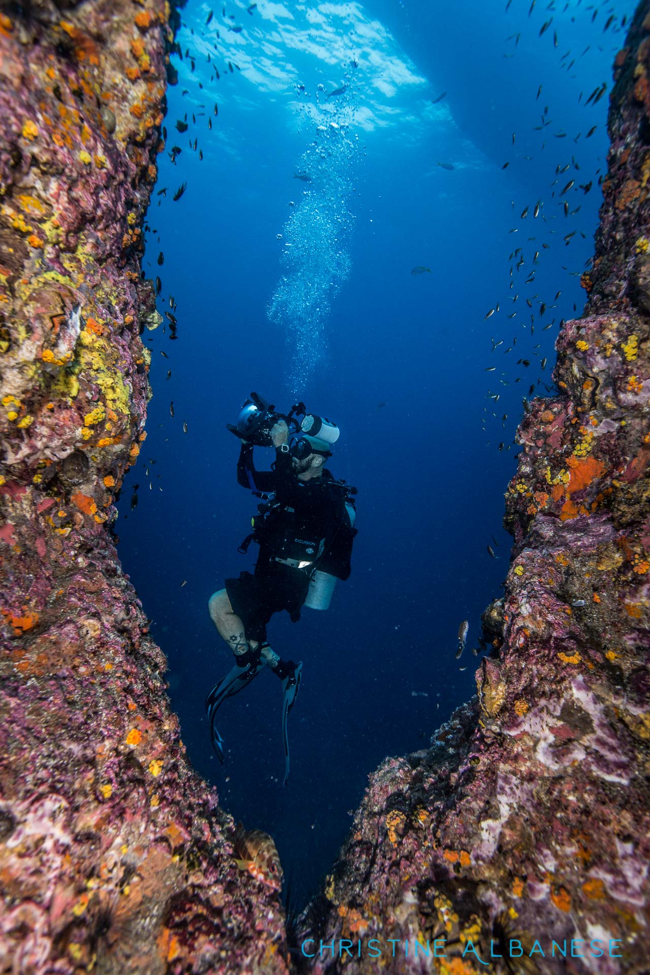 I had loads of fun teaching Jess and John what I know about underwater photography! Here's a photo I took of John while I was inside the chimney at Sailrock. Great students, miss you guys! 😊 @jesathey 

#creativeframing #naturalframe #underwater #underwaterdiving #underwaterphotography #uwphotography #photocourse #ocean #sailrock #thailand #kohtao #adventure #ikelite #ds160 #canonshooters #canon6d #canon1740 #wideangle #scuba #scubadiving #divinglife #padi
