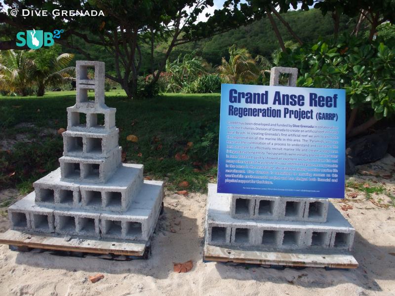 Grand Anse Reef Regeneration Project