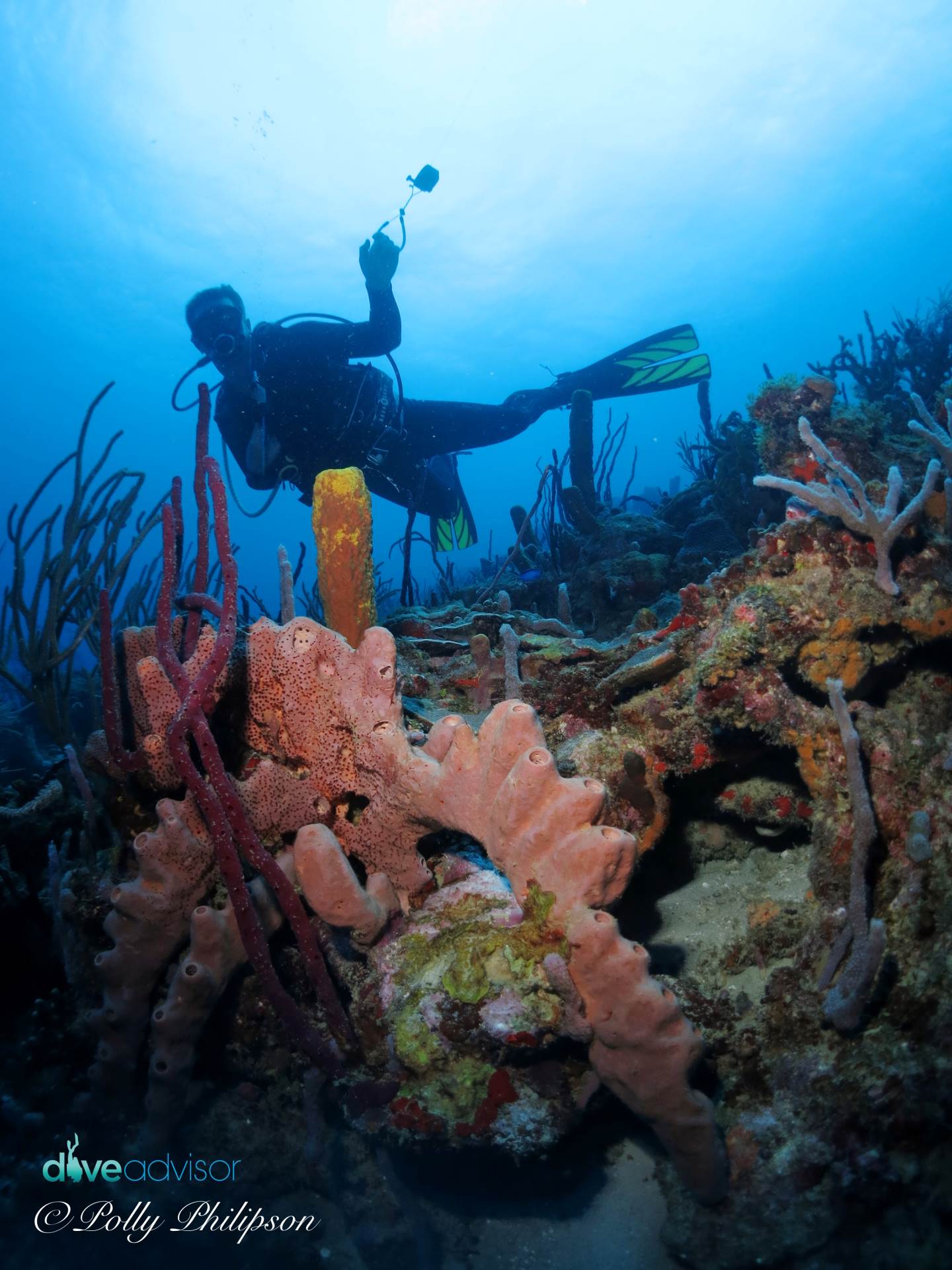 A diver cruises along the pretty dive site called Purple Rain. Many different soft and hard corals decorate the sloping coral reef.