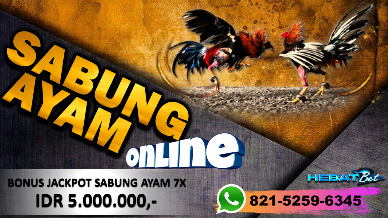 Agen HEBATBET adalah agen sabung ayam online ter aman dan terpercaya di indonesia, Menyediakan bonus win 7 x beruntun, dan maximal hadiahh Rp 5.000.000.00 📷yuk join sekarang Daftar : https://s.id/VVIPHEBTABET Minimal Deposit Hanya 25 RIBU!!!💸
Mau Join ?? Langsung via WhatsApp kita :
📲WhatsApp : 0812-6456-4394
📲Telegram : @Vviphebatbet
Rasakan Sensasi Nya Hanya Di VVIPHEBATBET
NB: Bergabung Bersama Hebatbet Anda akan Mendapatkan Pelayanan dan Bonus Terbaik. Mari Bergabung Bersama Kami Saat Ini Juga !!