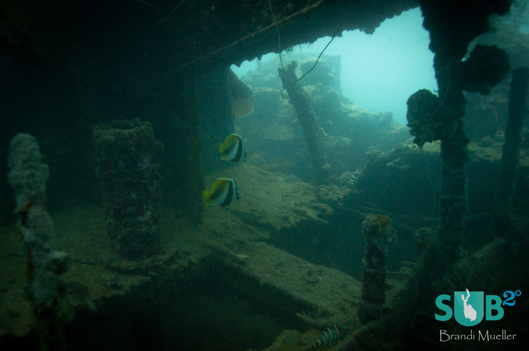 A view inside the Helmet Wreck, an unidentified Japanese ship sank just outside Malakal Harbor
