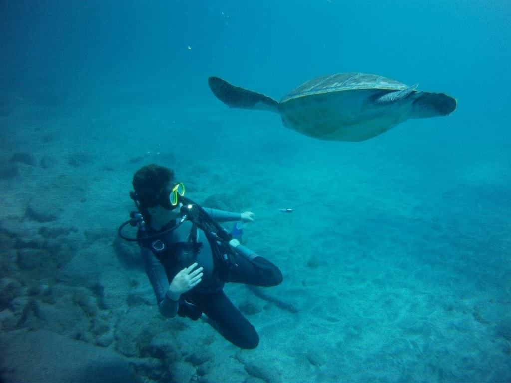 Me in Tenerife with a turtle