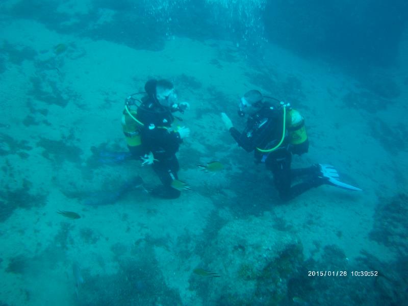 instructing deep dive